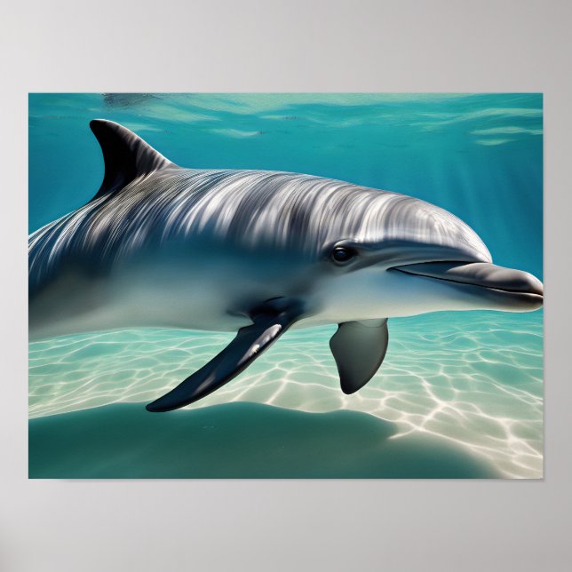 Dolphin Swimming Underwater Poster (Framsidan)