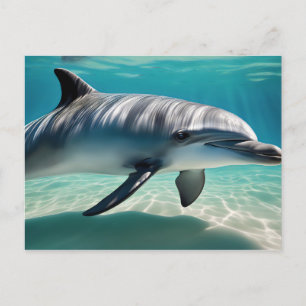 Dolphin Swimming Underwater Vykort