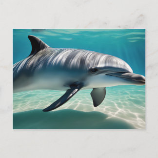 Dolphin Swimming Underwater Vykort