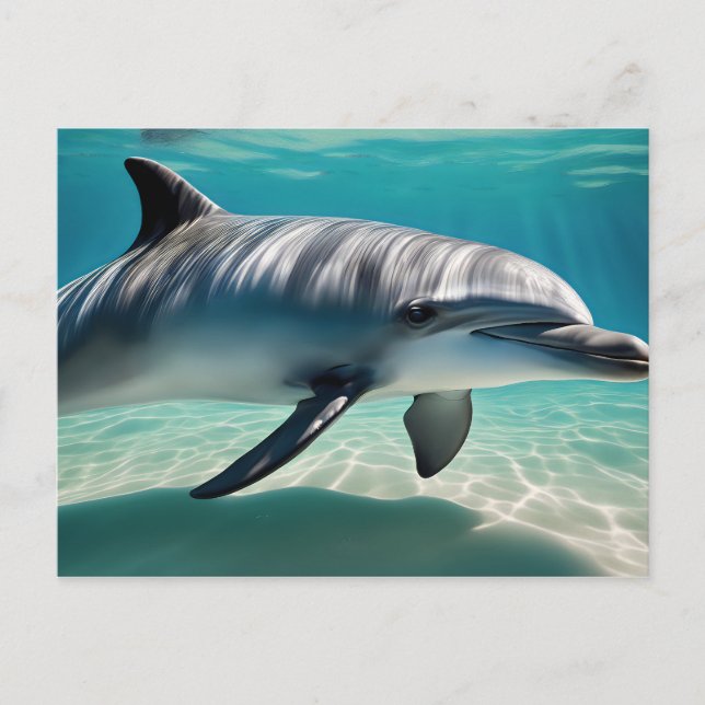 Dolphin Swimming Underwater Vykort (Framsida)