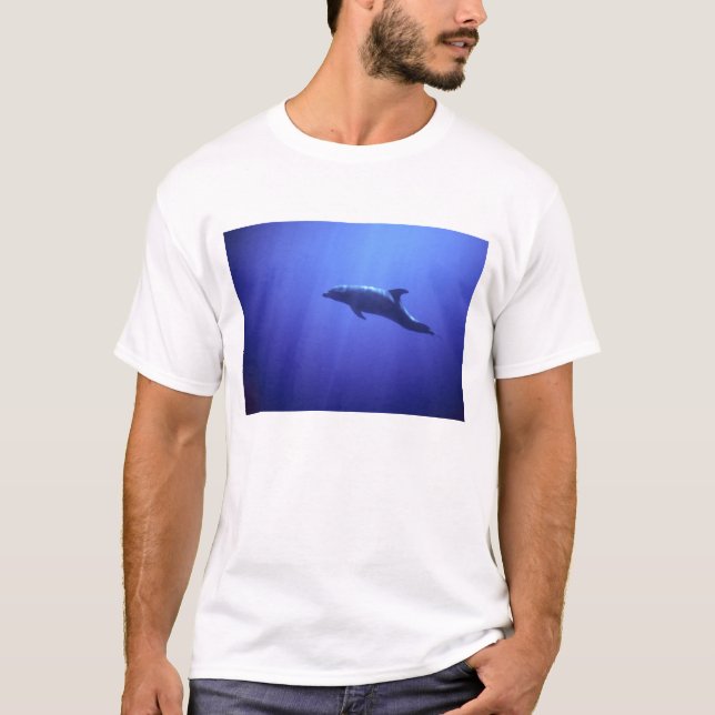 Dolphin Tee Shirt (Framsida)