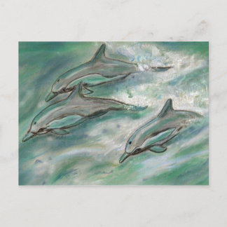 Dolphin Trio - vykort