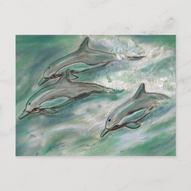 Dolphin Trio - vykort (Framsida)