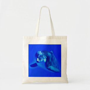 Dolphin Tygkasse