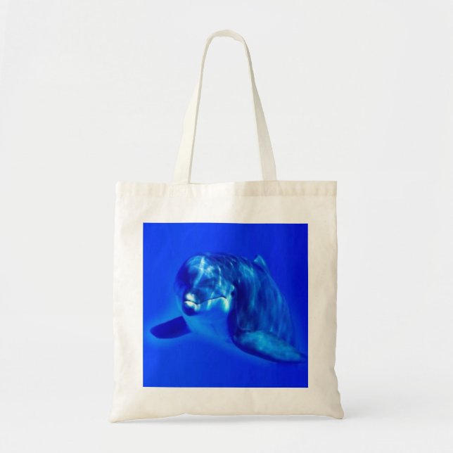 Dolphin Tygkasse (Framsidan)