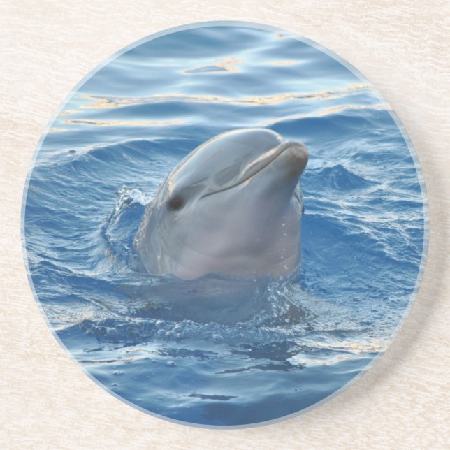Dolphin Underlägg (Framsidan)