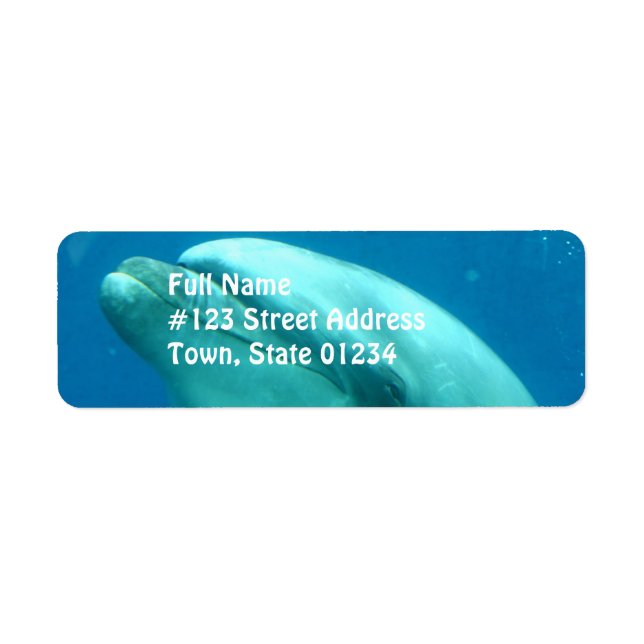 Dolphin Underwater Returadress Etikett (Framsidan)