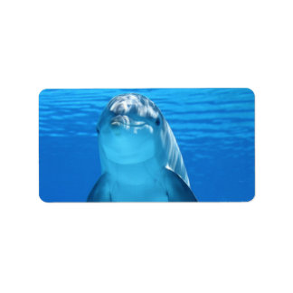 Dolphin Vatten Beach Tropical Paradise Island Fish Adressetikett