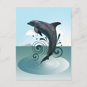 Dolphin Vykort