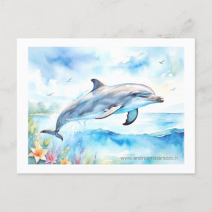 Dolphin Vykort