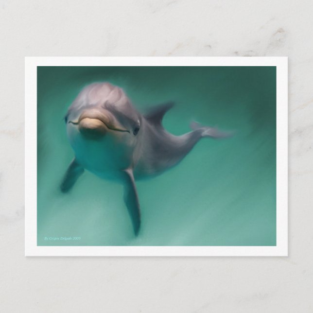 Dolphin Vykort (Framsida)