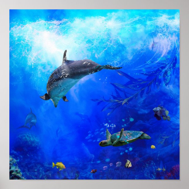 Dolphin World VIND ON VATTEN Poster (Framsidan)