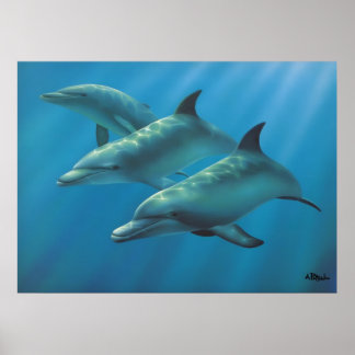 Dolphins av Andrew Patsalou Poster