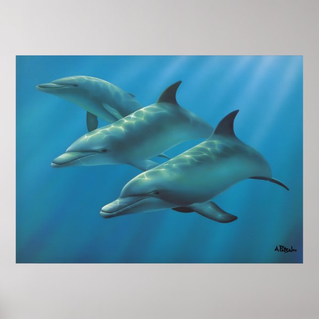 Dolphins av Andrew Patsalou Poster (Framsidan)