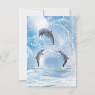 Dolphins drömmar