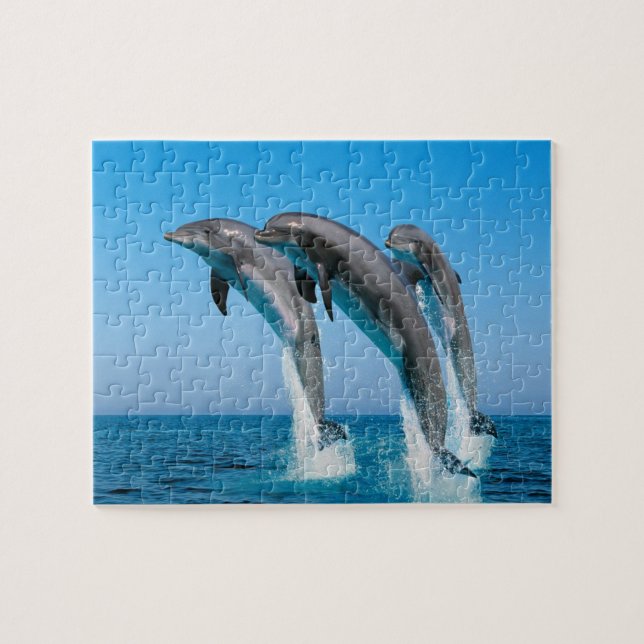 Dolphins Game Puzzle Pussel (Horisontell)