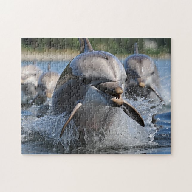 Dolphins Game Puzzle Pussel (Horisontell)