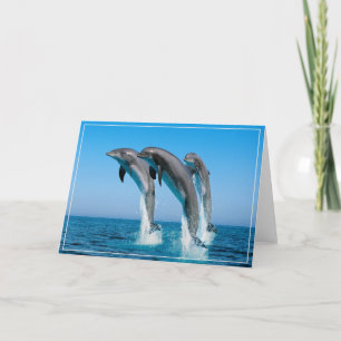Dolphins Greeting Card Kort