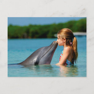 Dolphins kyss vykort