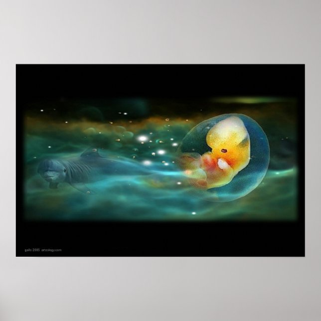 DOLPHINS MIND POSTER (Framsidan)