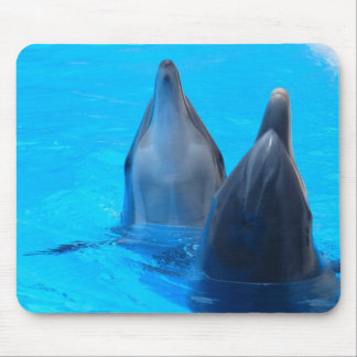 Dolphins mousepad musmatta
