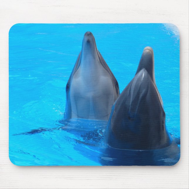 Dolphins mousepad musmatta (Framsidan)