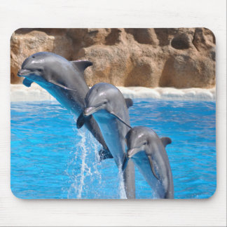 Dolphins mousepad musmatta