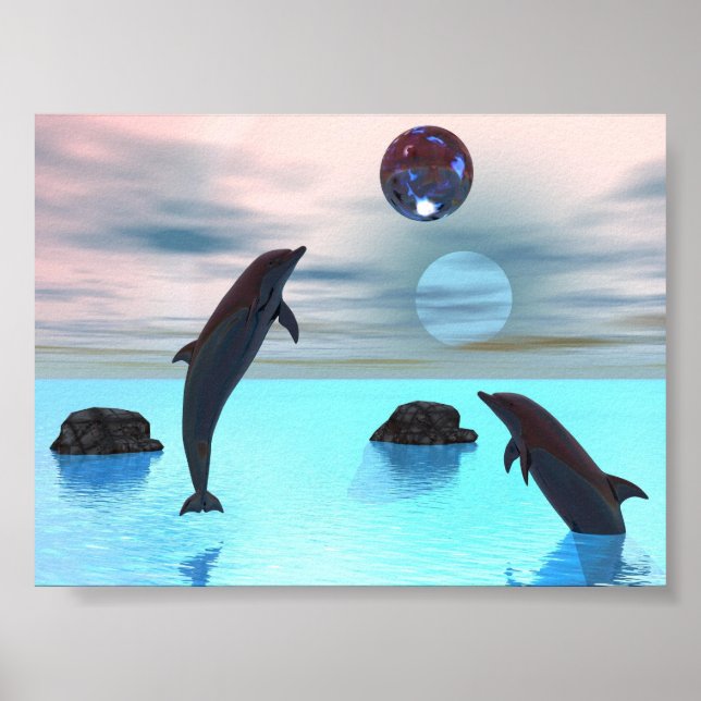 Dolphins Night Poster (Framsidan)