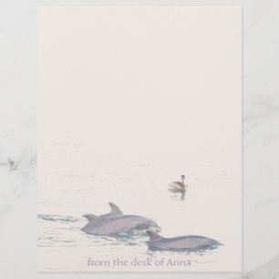 Dolphins Pelican Personlig Letterhead