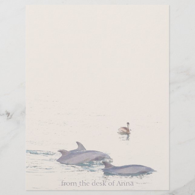 Dolphins Pelican Personlig Letterhead (Framsida)