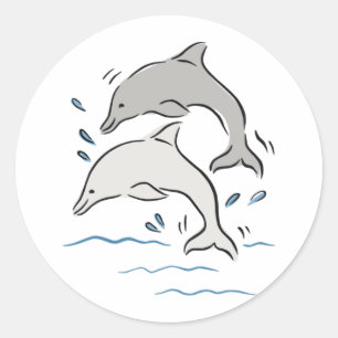 Dolphins Runt Klistermärke