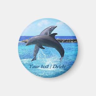 Dolphins som dansar i havet magnet