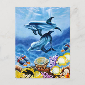 Dolphins Tropical Fish Vykort