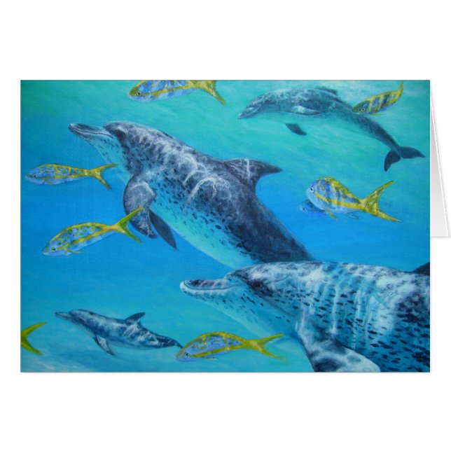 dolphinswithsnappers OBS kort (Framsidan Horizontal)