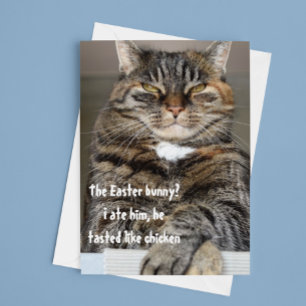 Dömande katt åt påskharen humor rolig helgkort