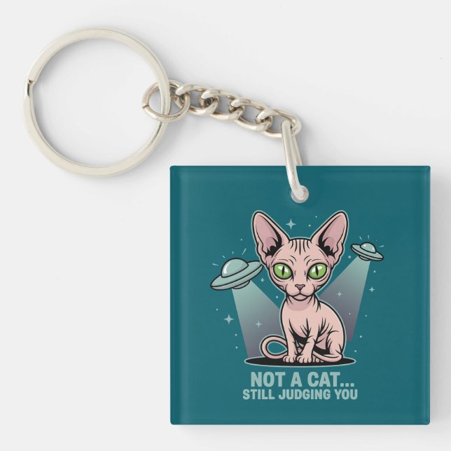 Domande Sphynx Katt UFO Utomjording Humor Konst (Framsidan)