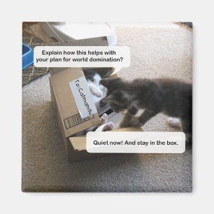 Domänmagnet i Cat World Magnet