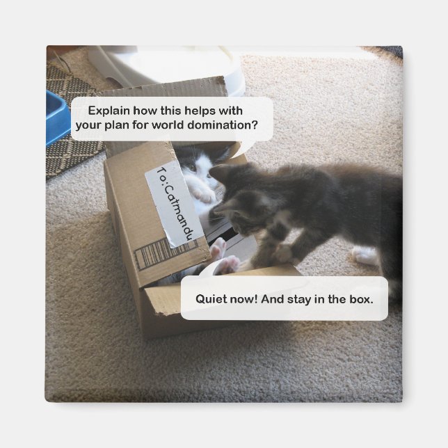 Domänmagnet i Cat World Magnet (Framsidan)