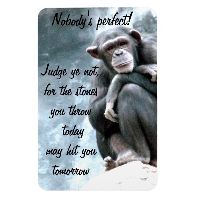 Domare inte!_ magnet (Vertikal)