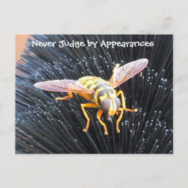 Domare med vykort för utseende