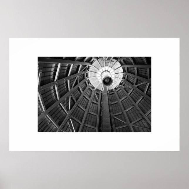 Dome Bones B&W Poster (Framsidan)