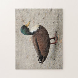 Domestic Mallard Duclair Bibbed Odd Anka Pussel