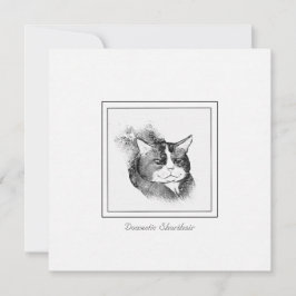 Domestic Shorthair Cat Chalk & Charcol Sketch Anteckningskort