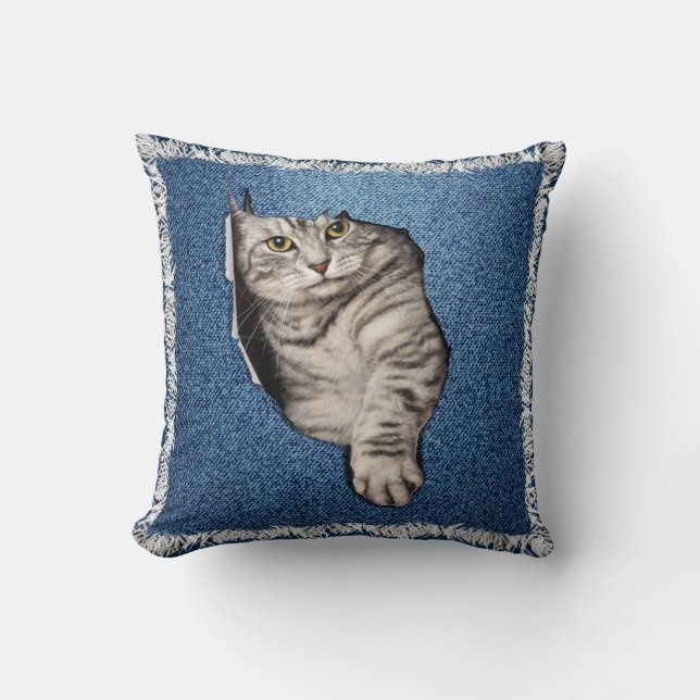 Domestic Tabby- kitten Kudde (Framsida)