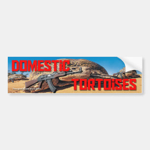 Domestic Tortoises Bumper Sticker Bildekal