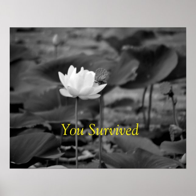 Domestic Violence Advocacy Poster I (Framsidan)