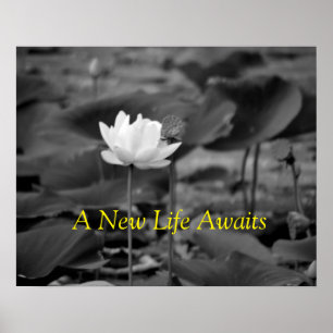 Domestic Violence Advocate Poster III