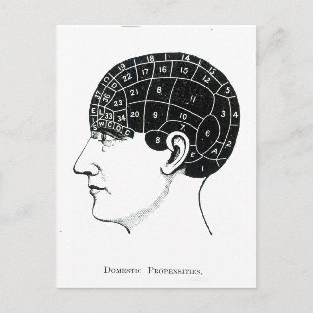 Domesticens egenskaper vykort (Framsida)