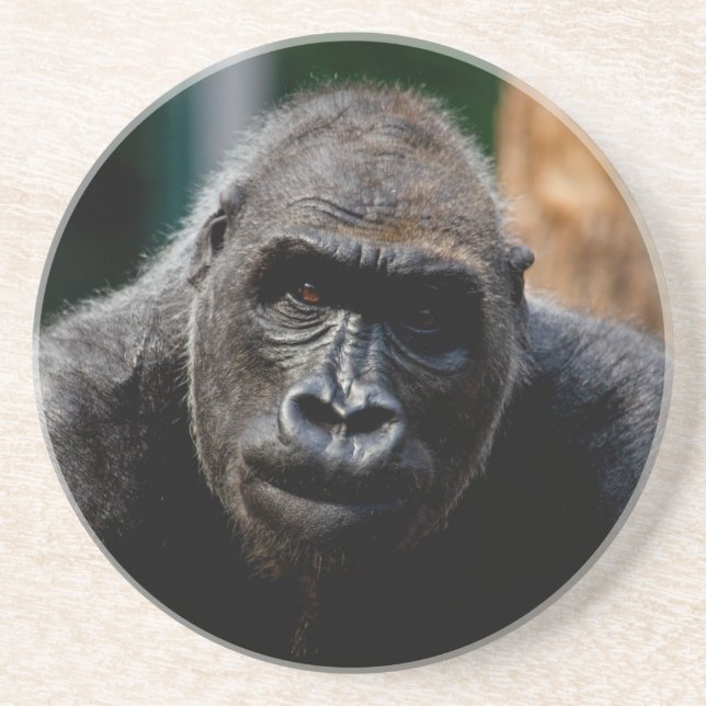 Dominant Primate Gorilla Ape Underlägg (Framsidan)