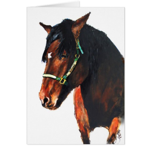 Domingo av Marin County Hälsningskort (Framsidan)